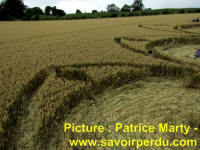 Avebury Stone Circle, Wiltshire crop circle, aerial photo 83